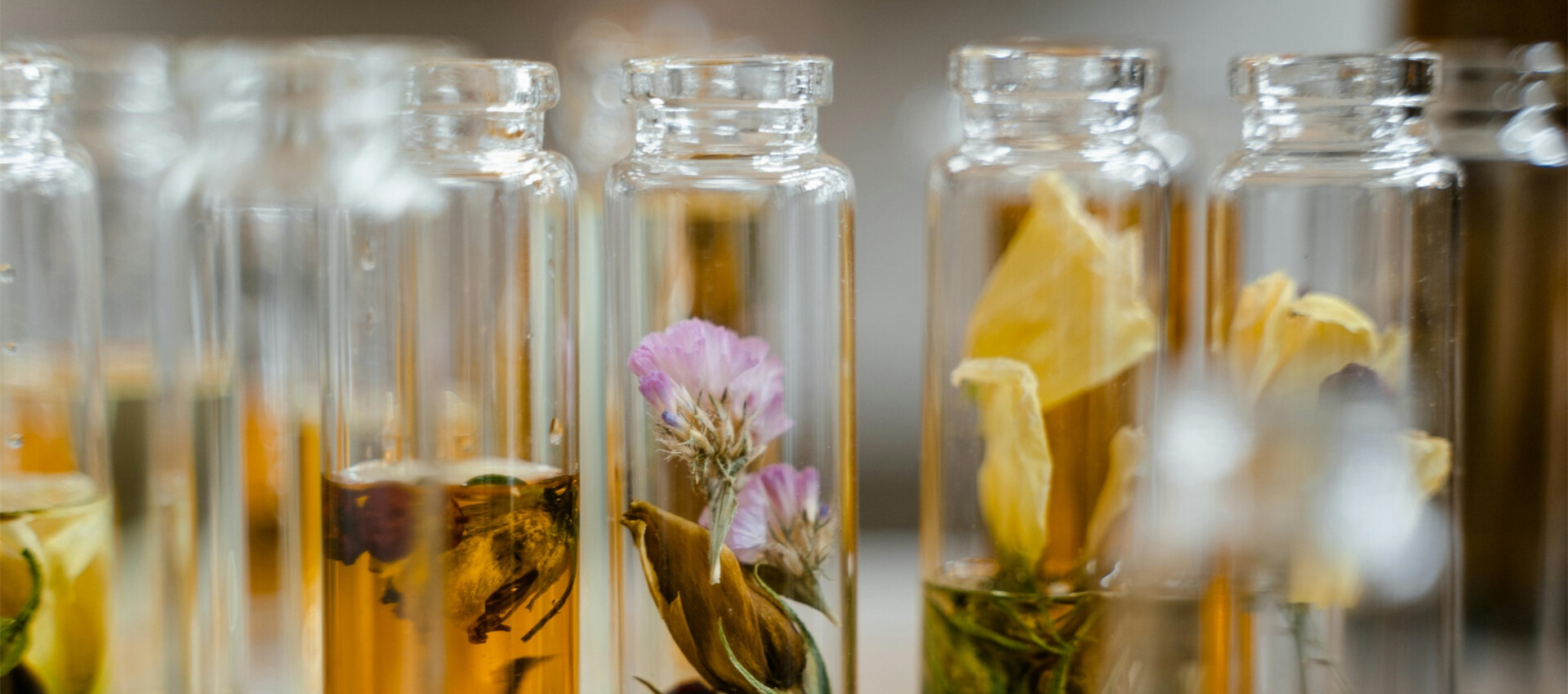 Here are the general steps involved in creating a perfume